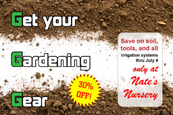 Repetition is used in this minimal postcard design