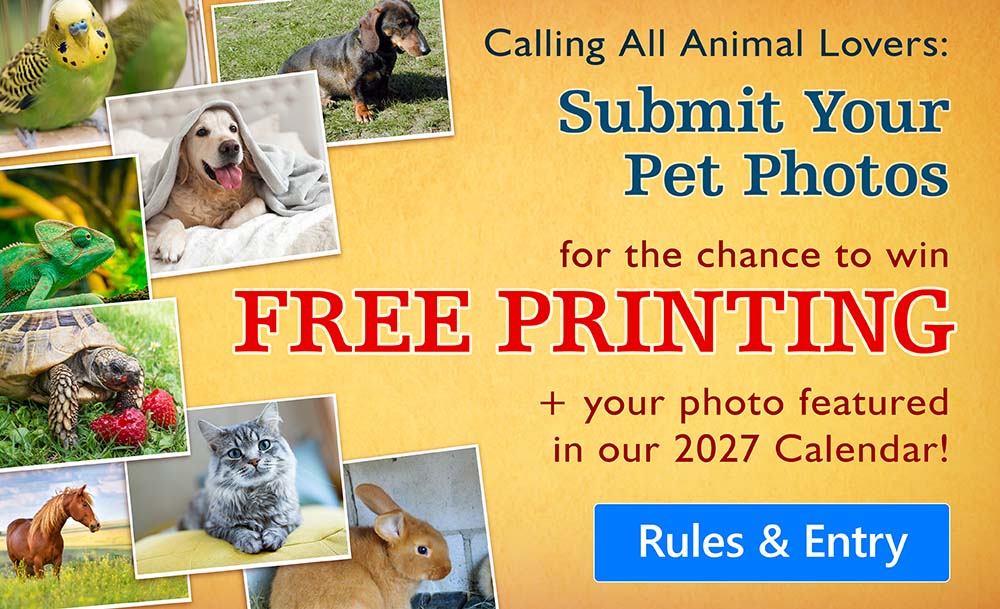 Pet Photo Contest 2026