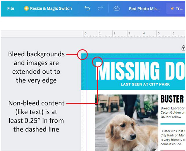 Adjust content in Canva